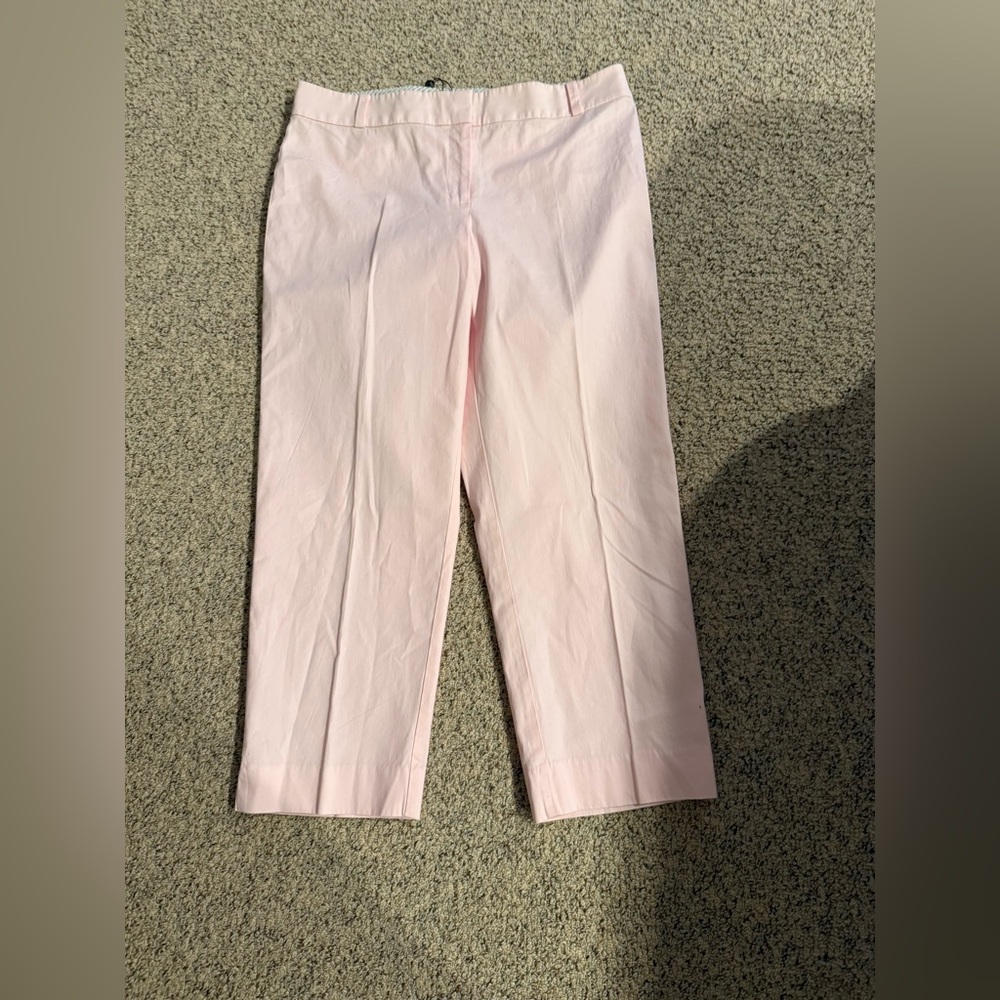 Talbots Signature Collection Light Pink NWT Size 12